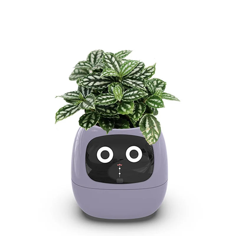 Ivy PlantaLux Intelligent Pot Endless Fun Over 49 Rich Expressions 7 Smart Sensors And AI Chips Make Raising Plants Easy And Fun