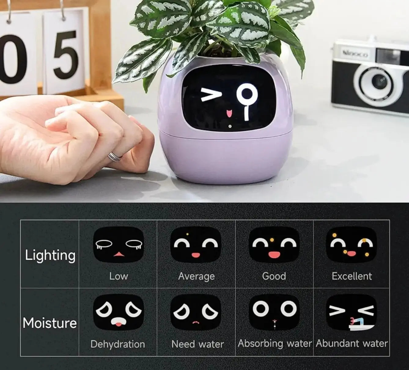 Ivy PlantaLux Intelligent Pot Endless Fun Over 49 Rich Expressions 7 Smart Sensors And AI Chips Make Raising Plants Easy And Fun