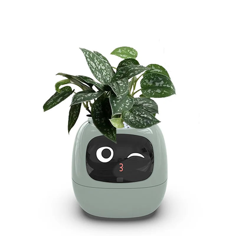 Ivy PlantaLux Intelligent Pot Endless Fun Over 49 Rich Expressions 7 Smart Sensors And AI Chips Make Raising Plants Easy And Fun