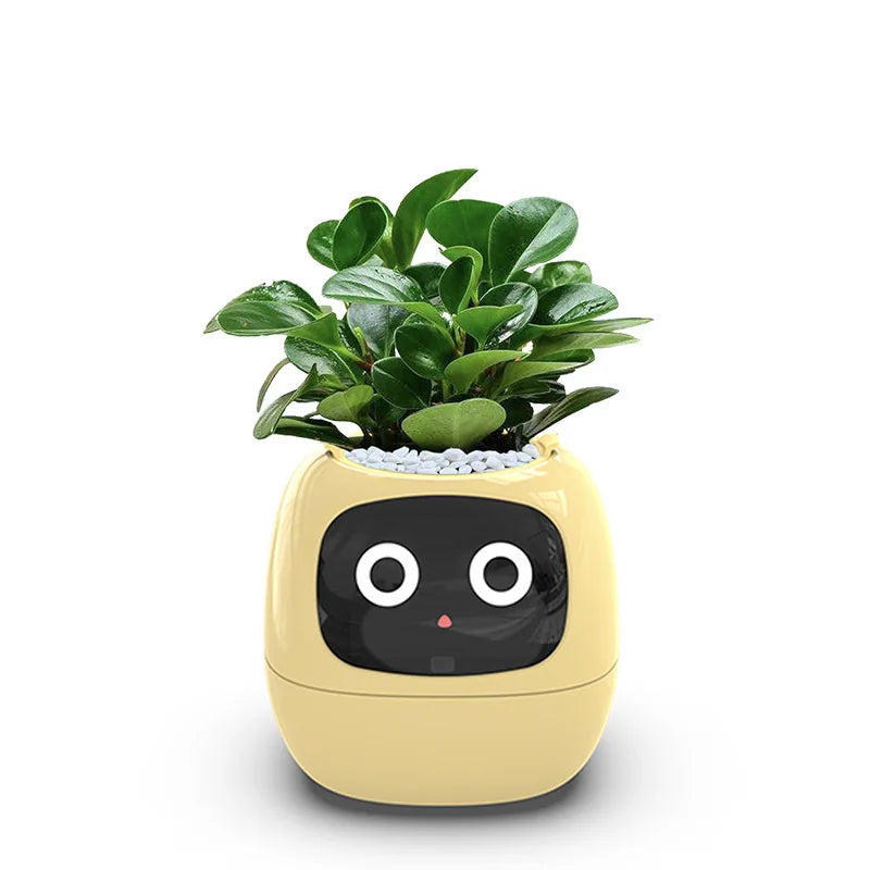 Ivy PlantaLux Intelligent Pot Endless Fun Over 49 Rich Expressions 7 Smart Sensors And AI Chips Make Raising Plants Easy And Fun