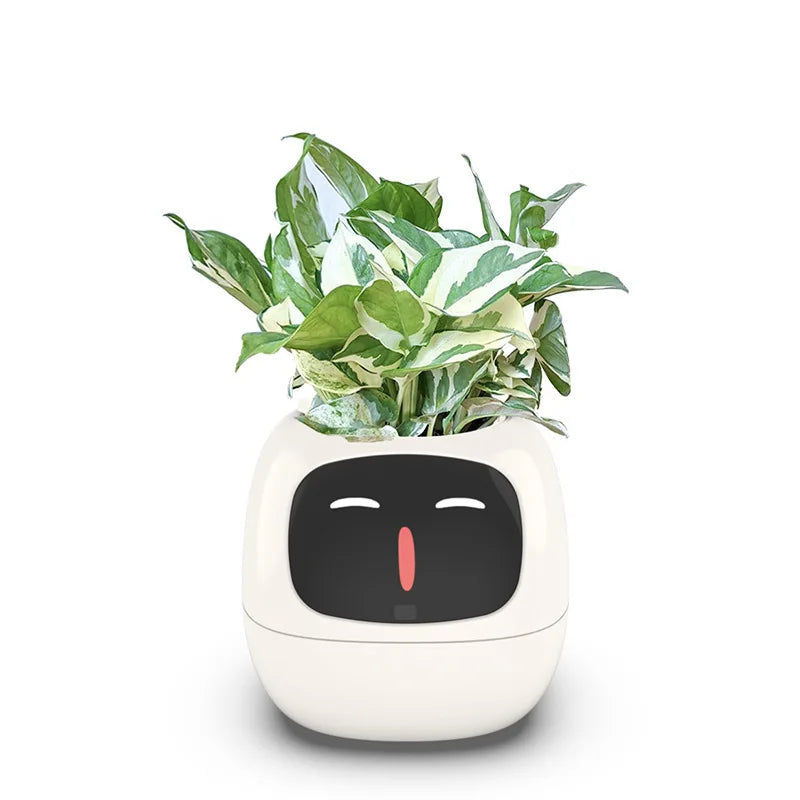 Ivy PlantaLux Intelligent Pot Endless Fun Over 49 Rich Expressions 7 Smart Sensors And AI Chips Make Raising Plants Easy And Fun