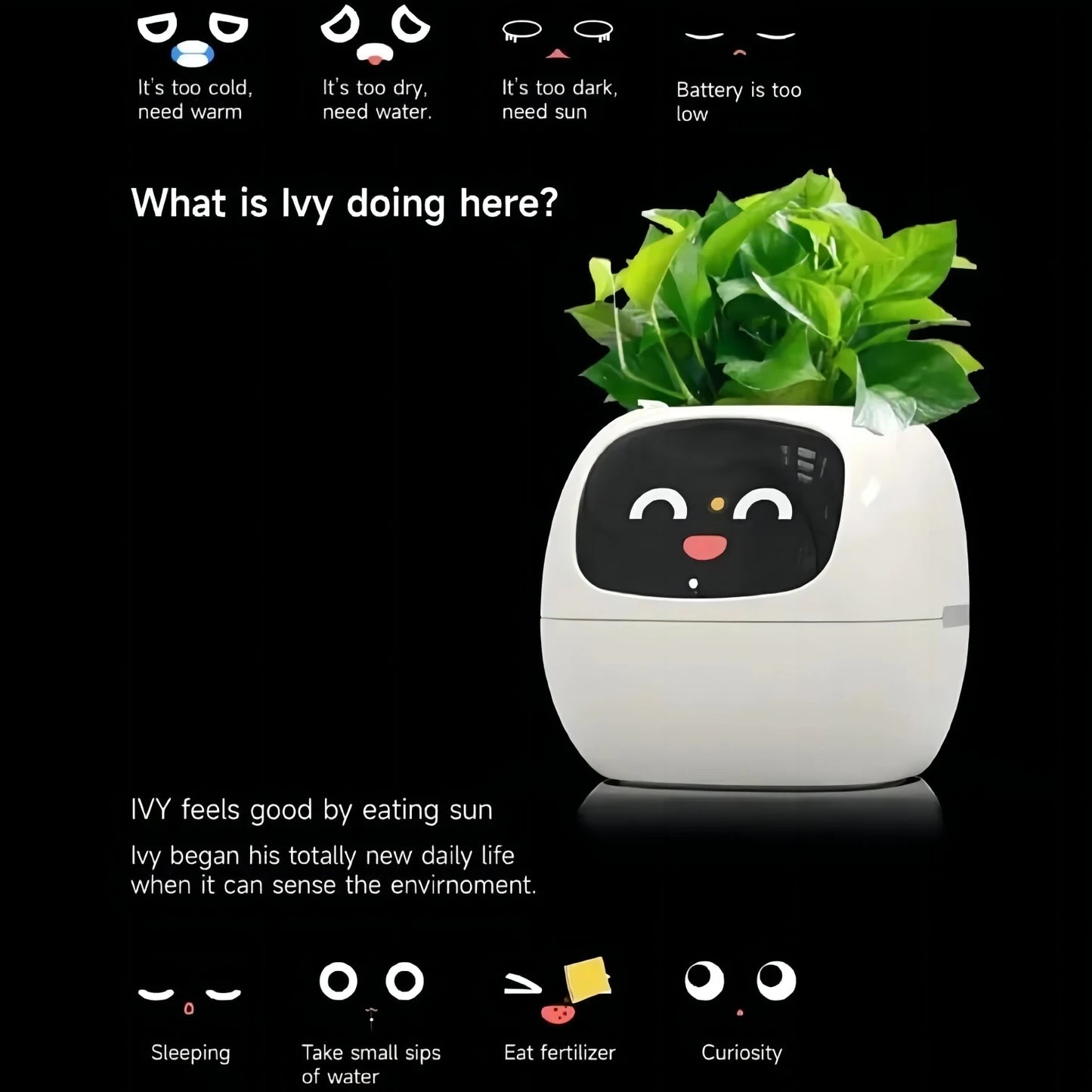 Ivy PlantaLux Intelligent Pot Endless Fun Over 49 Rich Expressions 7 Smart Sensors And AI Chips Make Raising Plants Easy And Fun