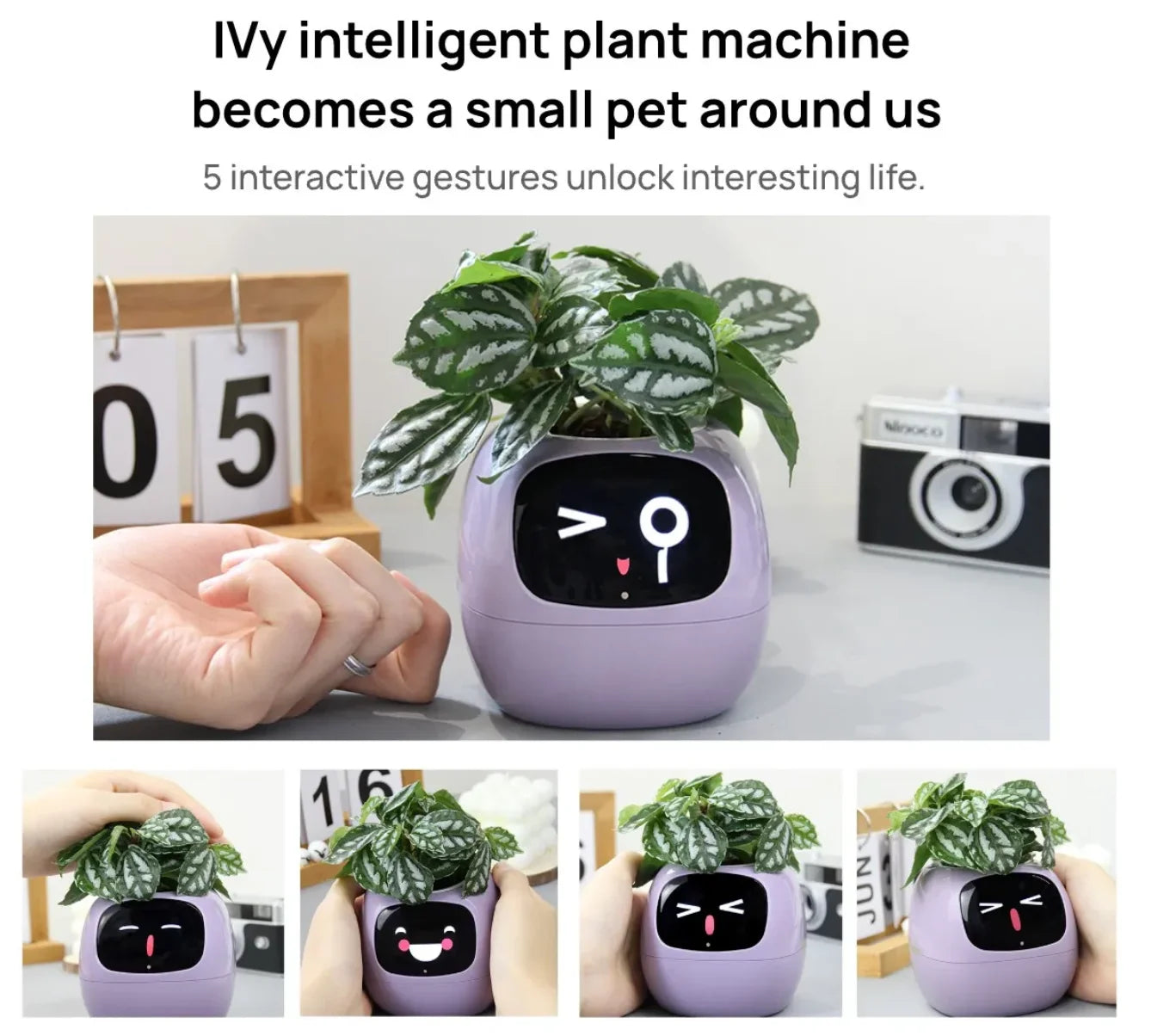 Ivy PlantaLux Intelligent Pot Endless Fun Over 49 Rich Expressions 7 Smart Sensors And AI Chips Make Raising Plants Easy And Fun