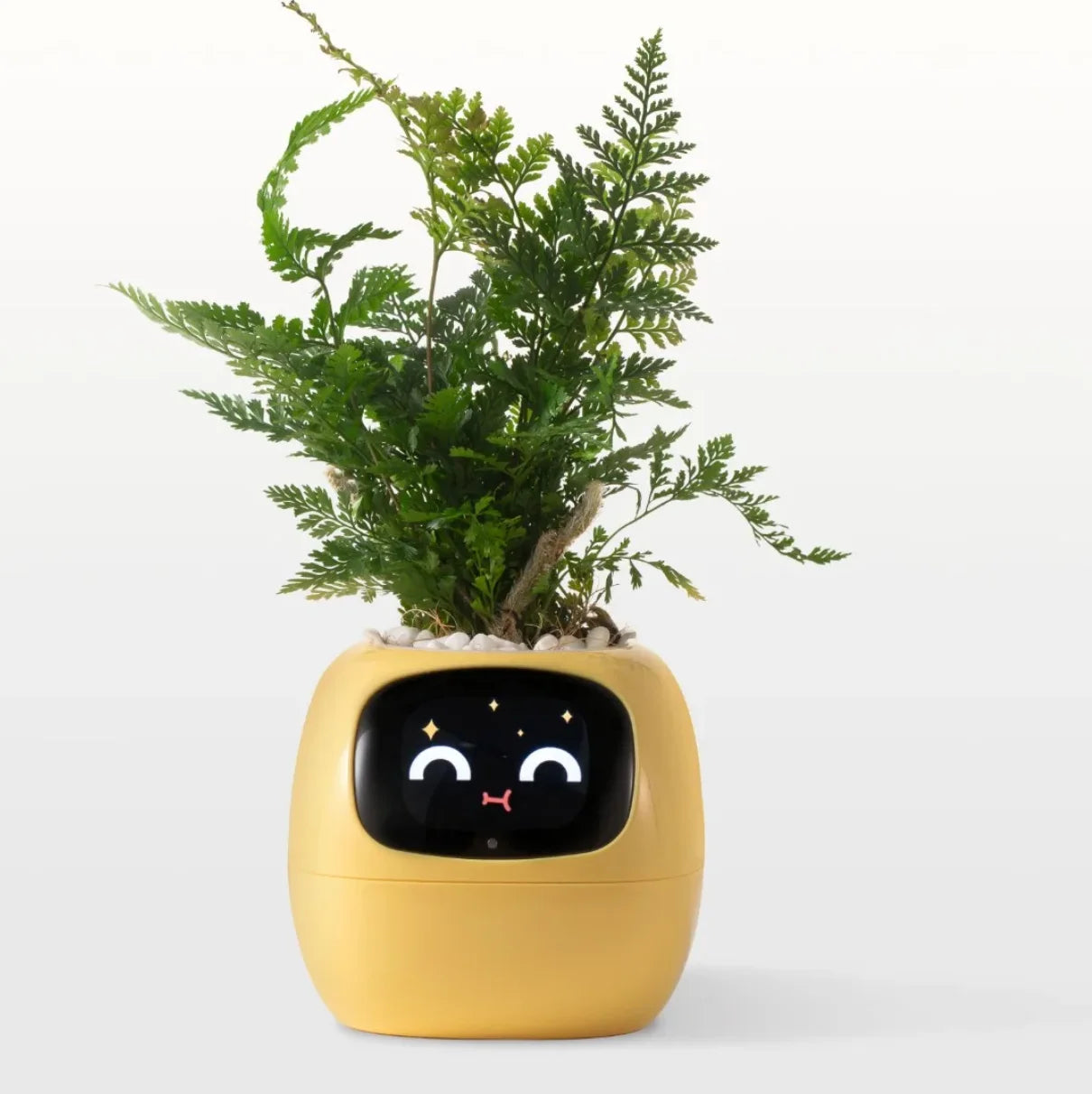 Ivy PlantaLux Intelligent Pot Endless Fun Over 49 Rich Expressions 7 Smart Sensors And AI Chips Make Raising Plants Easy And Fun